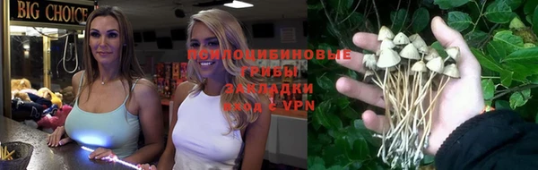 молекула духа Алзамай