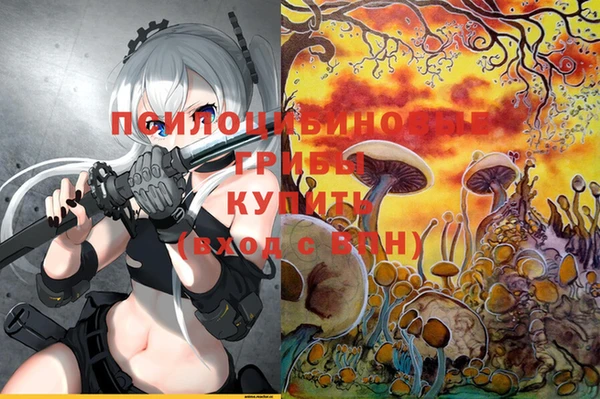круглые Аркадак