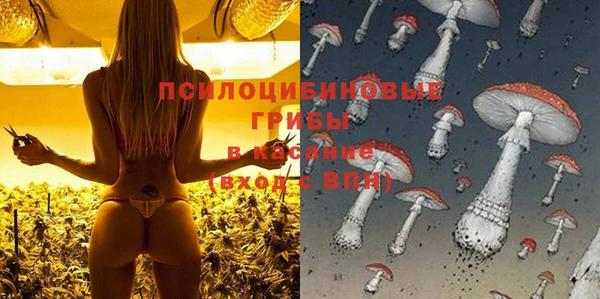 круглые Аркадак
