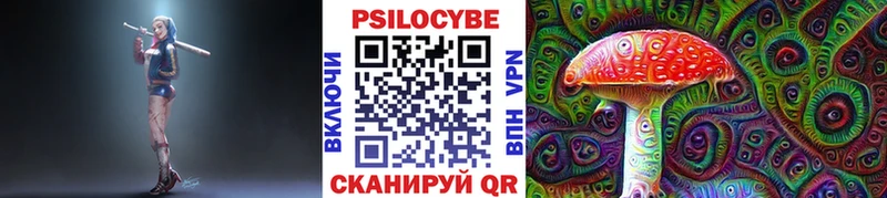 Псилоцибиновые грибы Psilocybe Спас-Деменск